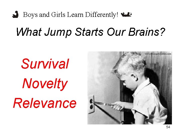 Boys and Girls Learn Differently! What Jump Starts Our Brains? Survival Novelty Relevance 54