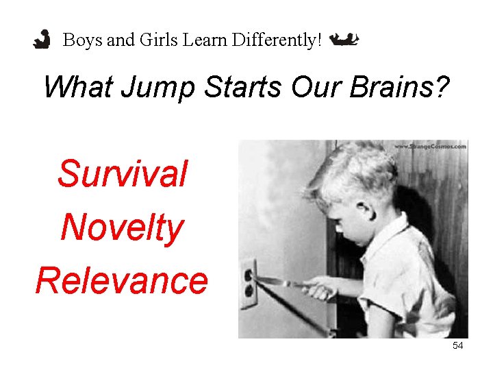Boys and Girls Learn Differently! What Jump Starts Our Brains? Survival Novelty Relevance 54 Boys and Girls Learn Differently! What Jump Starts Our Brains? Survival Novelty Relevance 54