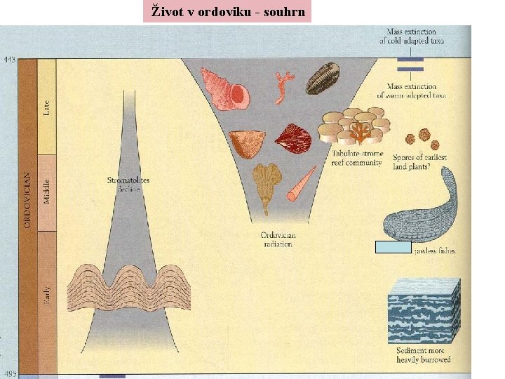 Život v ordoviku - souhrn 