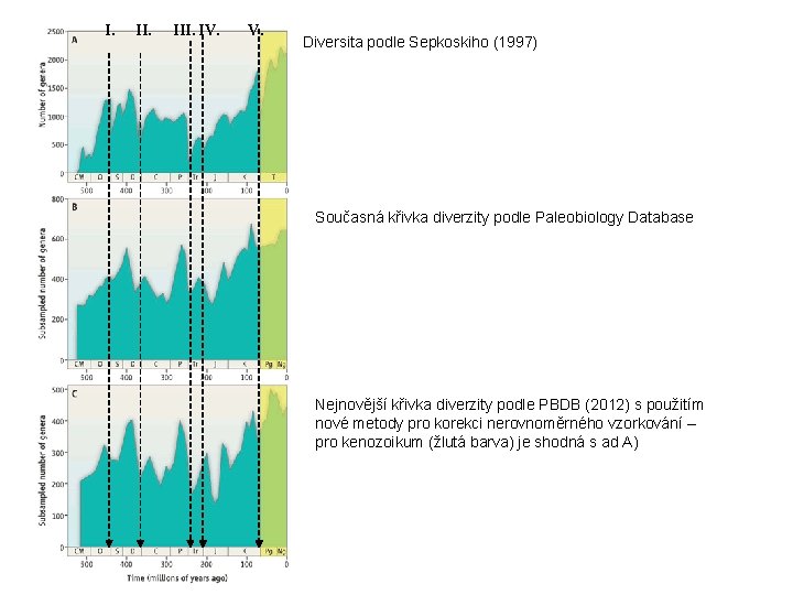 I. III. IV. Diversita podle Sepkoskiho (1997) Současná křivka diverzity podle Paleobiology Database Nejnovější