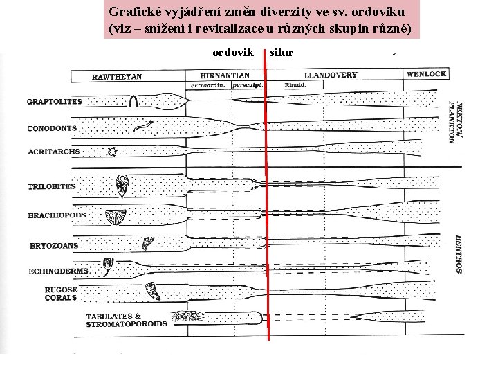 Grafické vyjádření změn diverzity ve sv. ordoviku (viz – snížení i revitalizace u různých