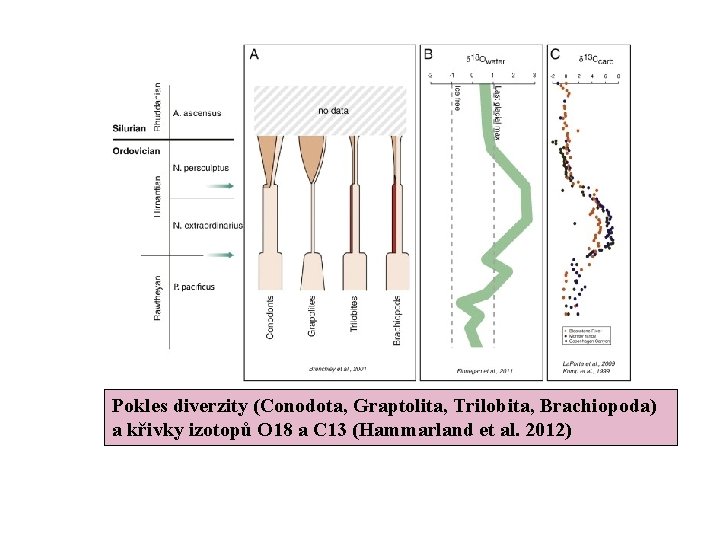 Pokles diverzity (Conodota, Graptolita, Trilobita, Brachiopoda) a křivky izotopů O 18 a C 13