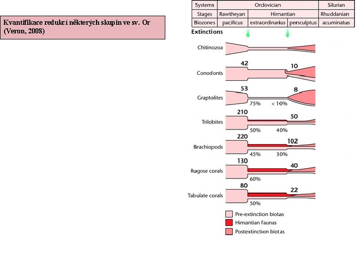 Kvantifikace redukcí některých skupin ve sv. Or (Veron, 2008) 