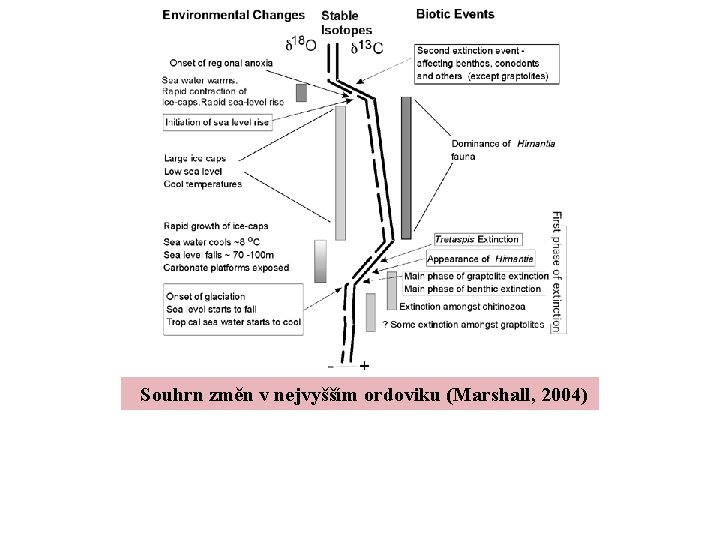 Souhrn změn v nejvyšším ordoviku (Marshall, 2004) 