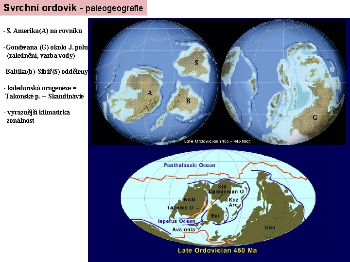 Svrchní ordovik - paleogeografie -S. Amerika(A) na rovníku -Gondwana (G) okolo J. pólu (zalednění,