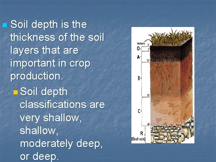 n Soil depth is the thickness of the soil layers that are important in
