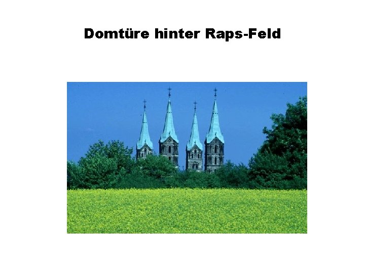 Domtüre hinter Raps-Feld 