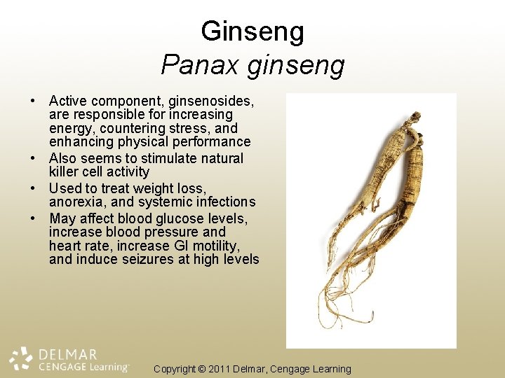 Ginseng Panax ginseng • Active component, ginsenosides, are responsible for increasing energy, countering stress,