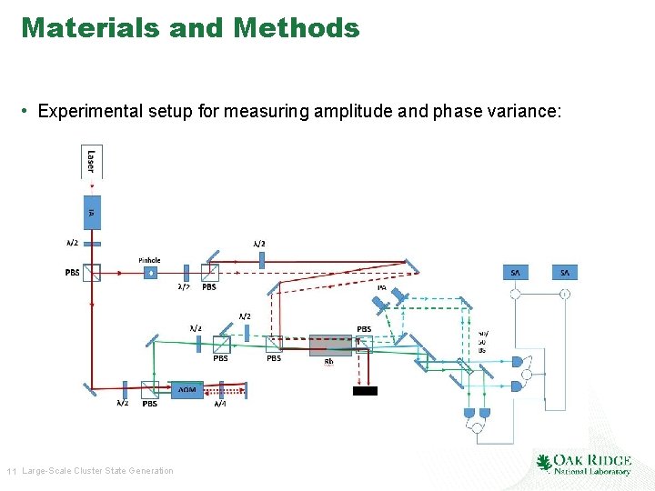 Materials and Methods • Experimental setup for measuring amplitude and phase variance: 11 Large-Scale
