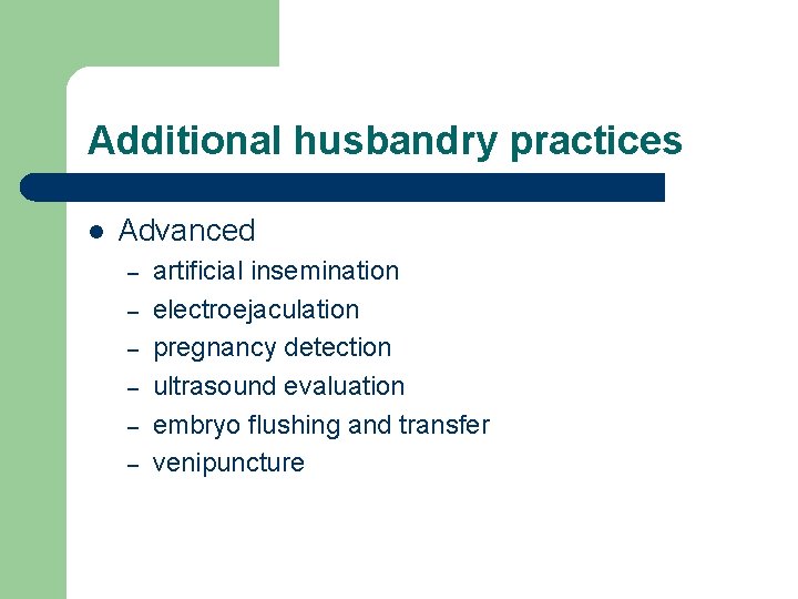 Additional husbandry practices l Advanced – – – artificial insemination electroejaculation pregnancy detection ultrasound