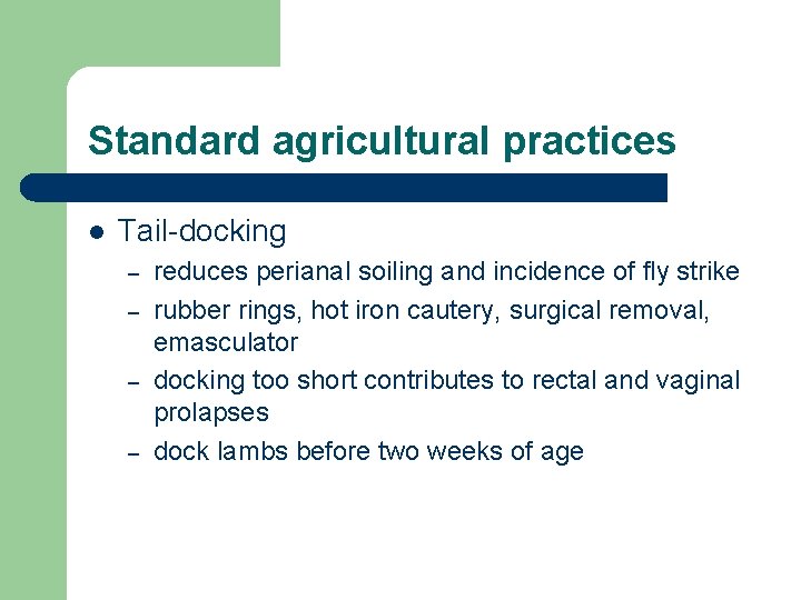 Standard agricultural practices l Tail-docking – – reduces perianal soiling and incidence of fly