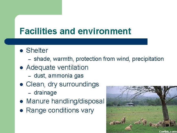 Facilities and environment l Shelter – l Adequate ventilation – l l dust, ammonia