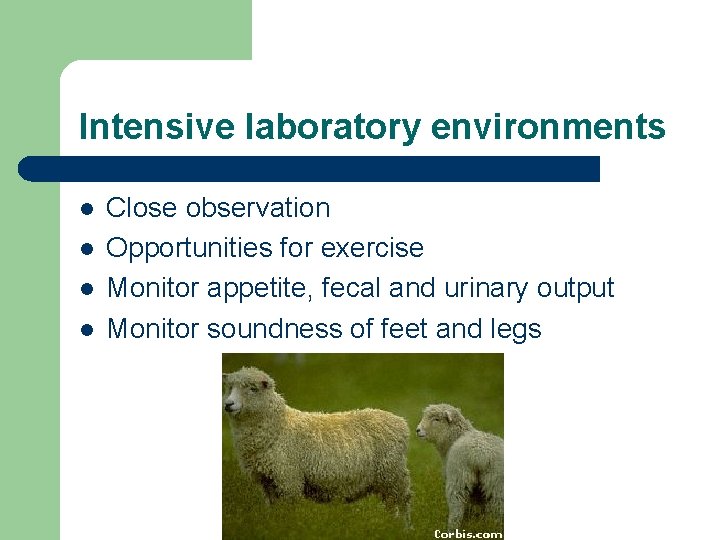 Intensive laboratory environments l l Close observation Opportunities for exercise Monitor appetite, fecal and