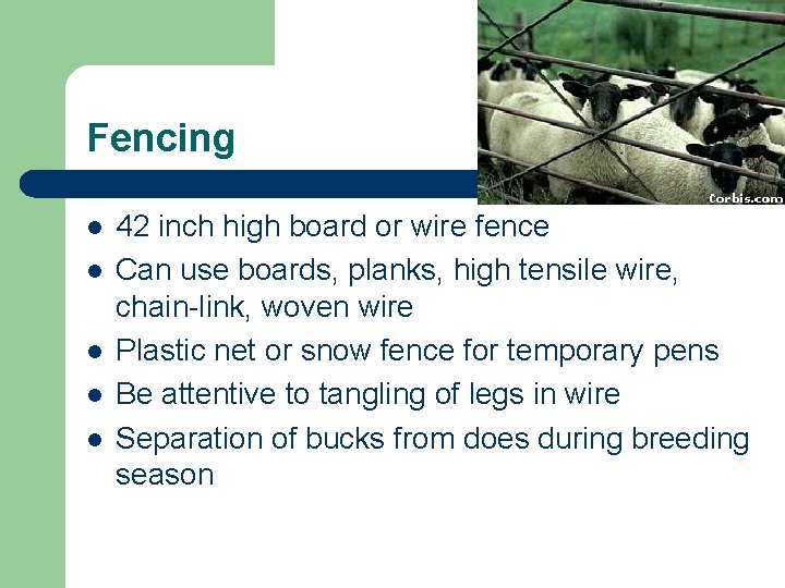 Fencing l l l 42 inch high board or wire fence Can use boards,