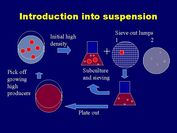 Introduction into suspension Sieve out lumps 1 2 Initial high density Pick off growing