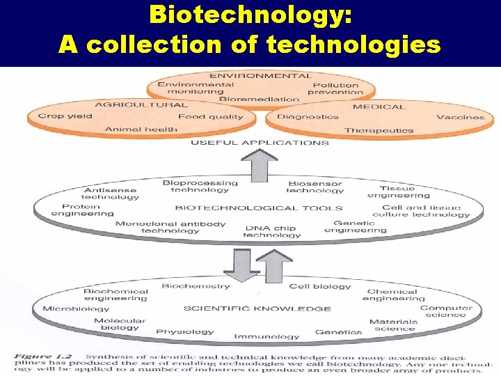 Biotechnology: A collection of technologies 