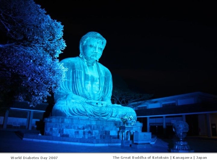 World Diabetes Day 2007 The Great Buddha of Kotokuin | Kanagawa | Japan 