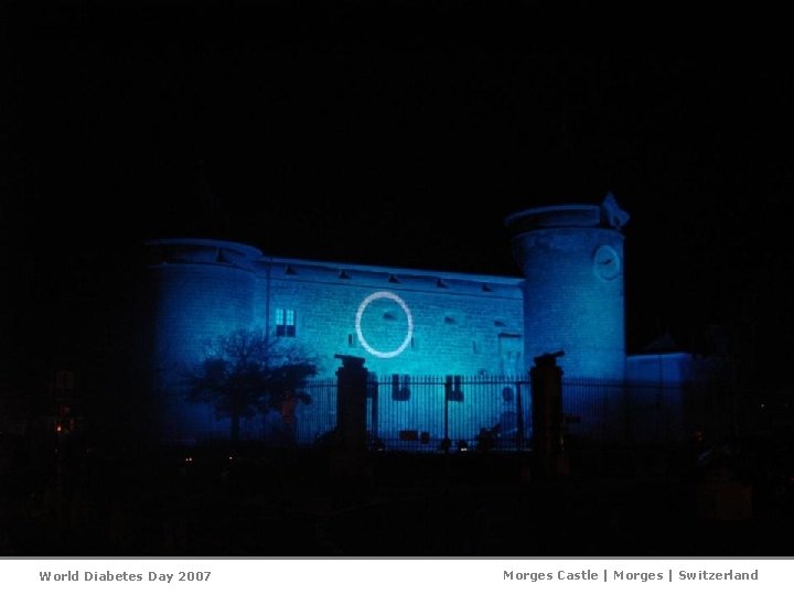 World Diabetes Day 2007 Morges Castle | Morges | Switzerland 