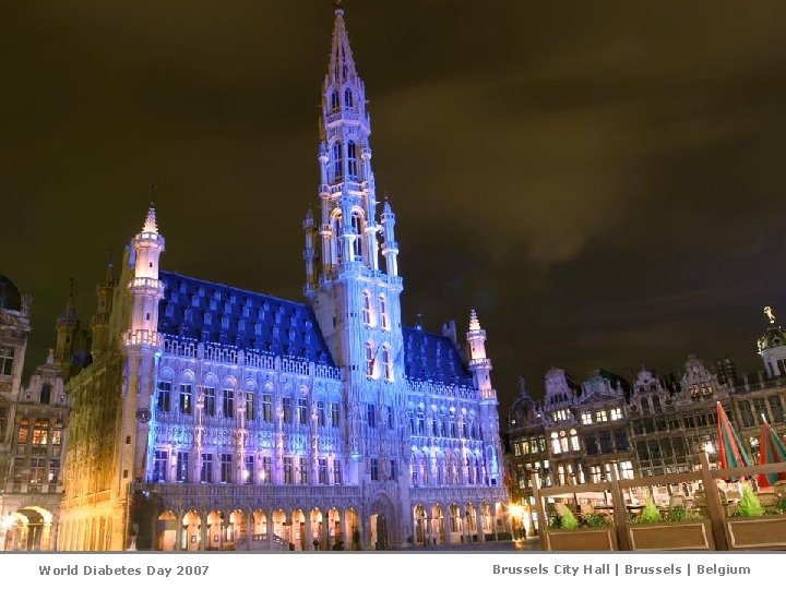 World Diabetes Day 2007 Brussels City Hall | Brussels | Belgium 