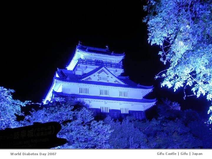 World Diabetes Day 2007 Gifu Castle | Gifu | Japan 