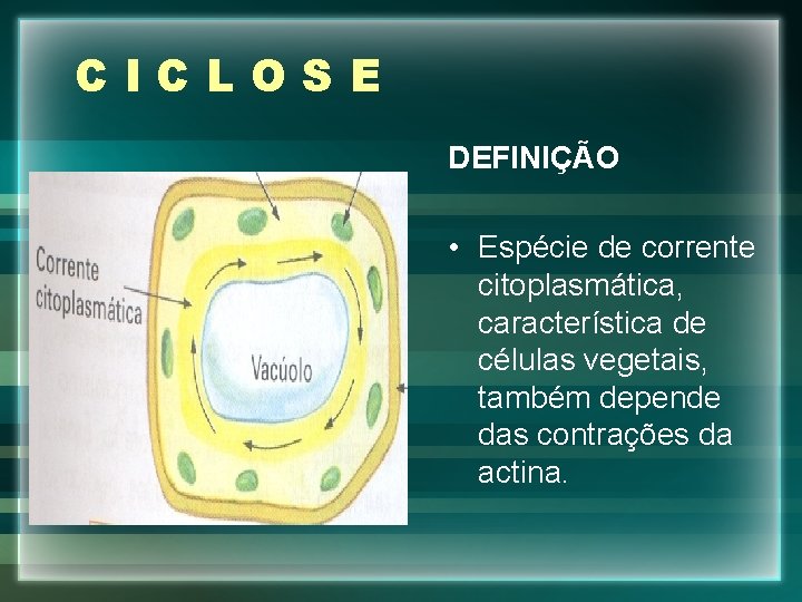 CICLOSE DEFINIÇÃO • Espécie de corrente citoplasmática, característica de células vegetais, também depende das