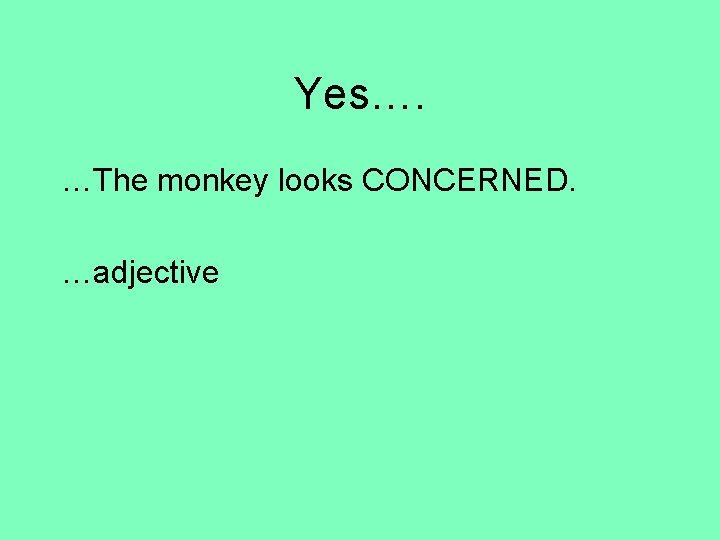 Yes…. …The monkey looks CONCERNED. …adjective 