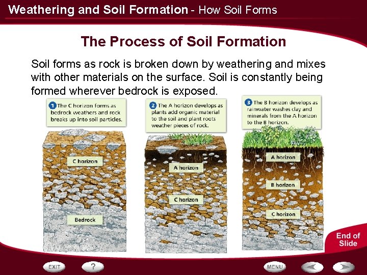 Weathering and Soil Formation - How Soil Forms The Process of Soil Formation Soil