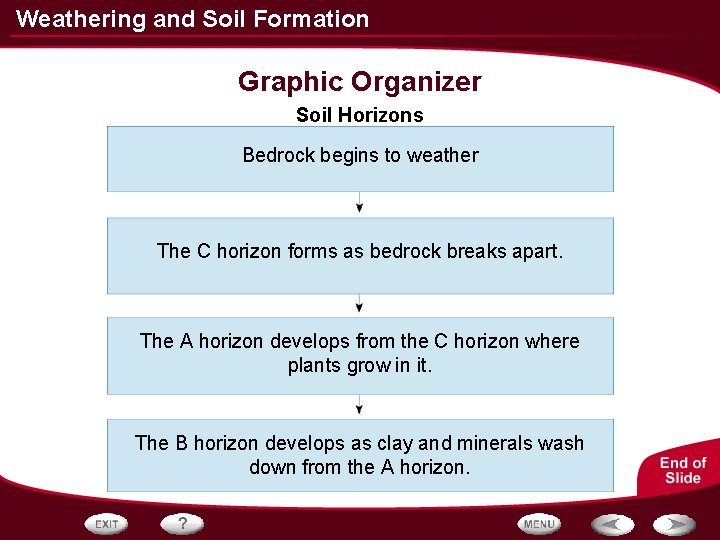 Weathering and Soil Formation Graphic Organizer Soil Horizons Bedrock begins to weather The C