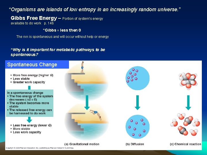 “Organisms are islands of low entropy in an increasingly random universe. ” Gibbs Free