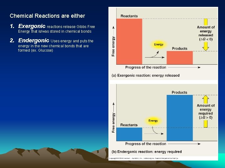 Chemical Reactions are either 1. Exergonic reactions release Gibbs Free Energy that is/was stored