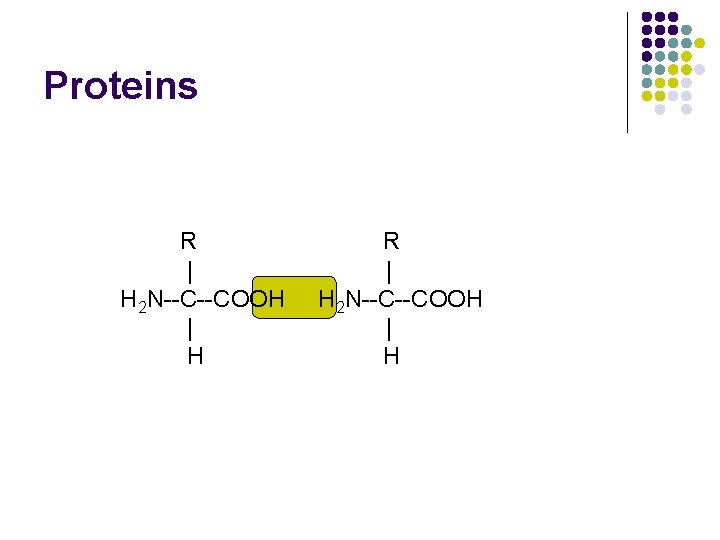 Proteins R | H 2 N--C--COOH | H 