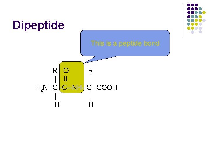 Dipeptide This is a peptide bond R O R | II | H 2