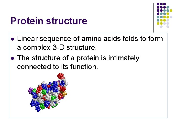 Protein structure l l Linear sequence of amino acids folds to form a complex