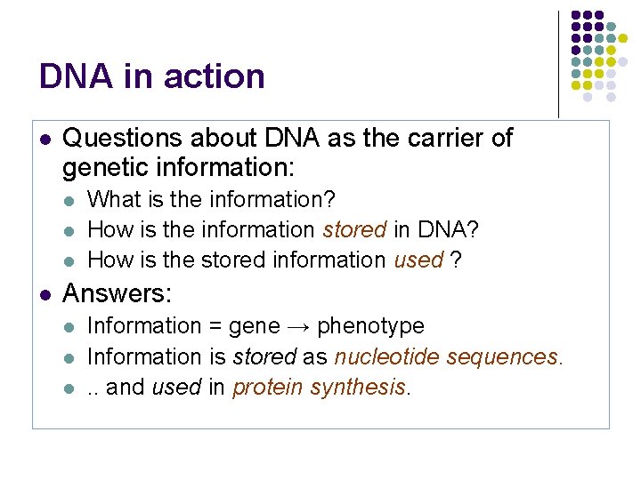 DNA in action l Questions about DNA as the carrier of genetic information: l
