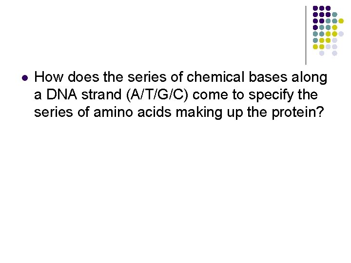 l How does the series of chemical bases along a DNA strand (A/T/G/C) come