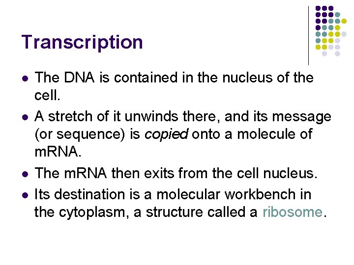 Transcription l l The DNA is contained in the nucleus of the cell. A