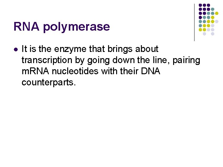 RNA polymerase l It is the enzyme that brings about transcription by going down