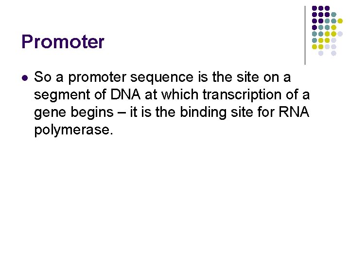 Promoter l So a promoter sequence is the site on a segment of DNA