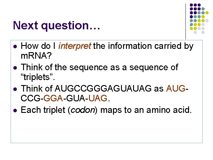 Next question… l l How do I interpret the information carried by m. RNA?