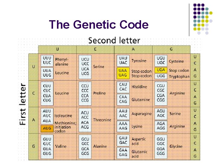 The Genetic Code 