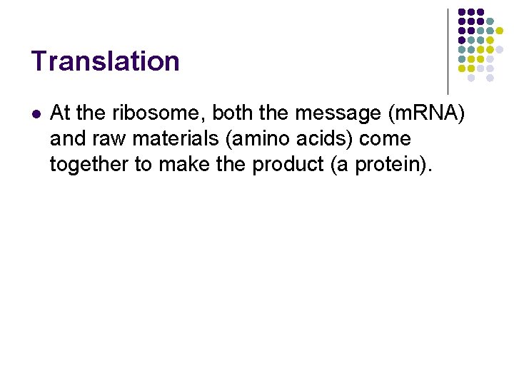 Translation l At the ribosome, both the message (m. RNA) and raw materials (amino