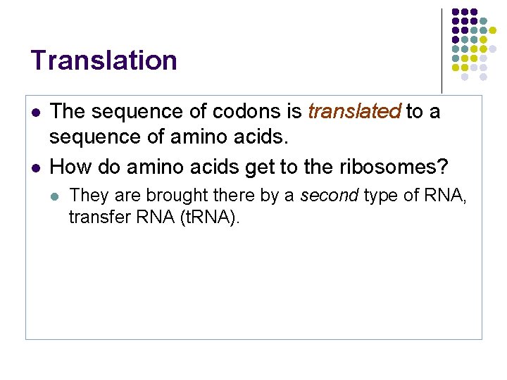 Translation l l The sequence of codons is translated to a sequence of amino