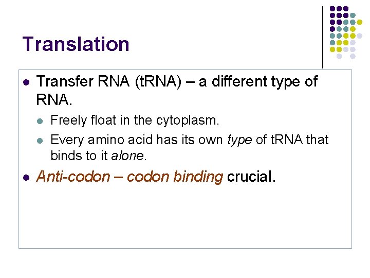 Translation l Transfer RNA (t. RNA) – a different type of RNA. l l