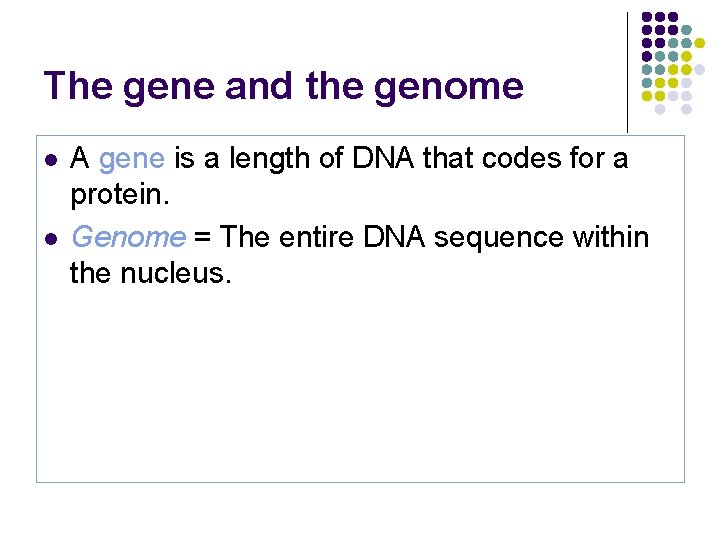 The gene and the genome l l A gene is a length of DNA