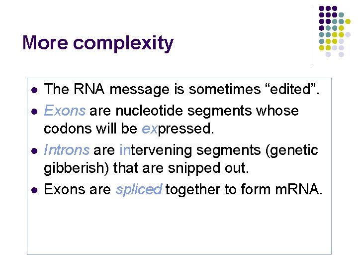 More complexity l l The RNA message is sometimes “edited”. Exons are nucleotide segments