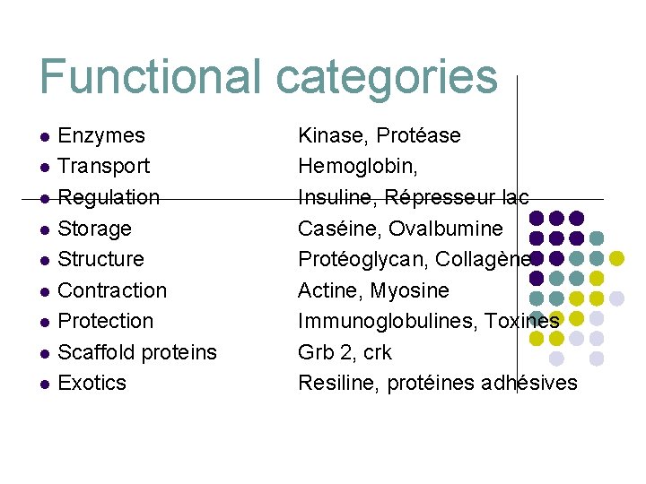 Functional categories Enzymes l Transport l Regulation l Storage l Structure l Contraction l