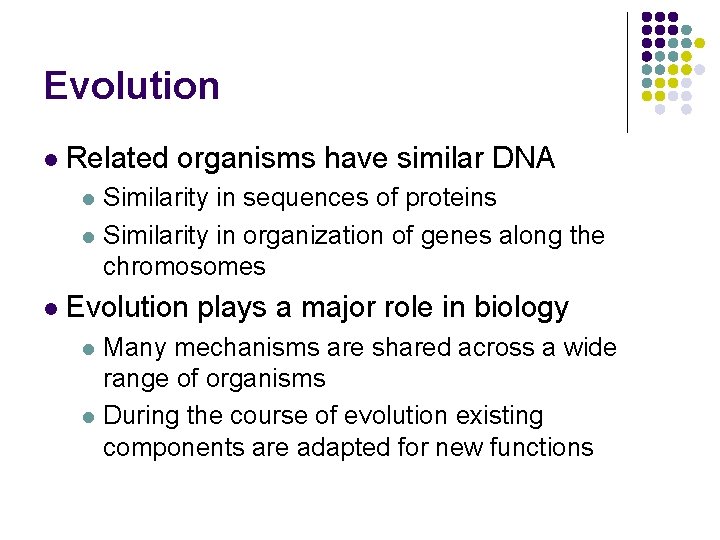 Evolution l Related organisms have similar DNA l l l Similarity in sequences of