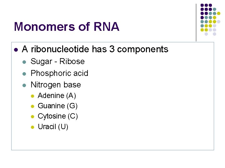 Monomers of RNA l A ribonucleotide has 3 components l l l Sugar -