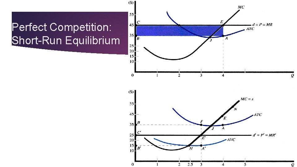 Perfect Competition: Short-Run Equilibrium 