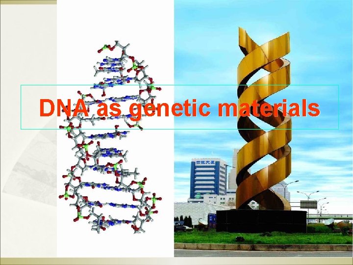 DNA as genetic materials 